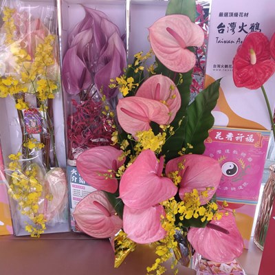 提振花卉產業　中市祭出花卉多元振興方案
